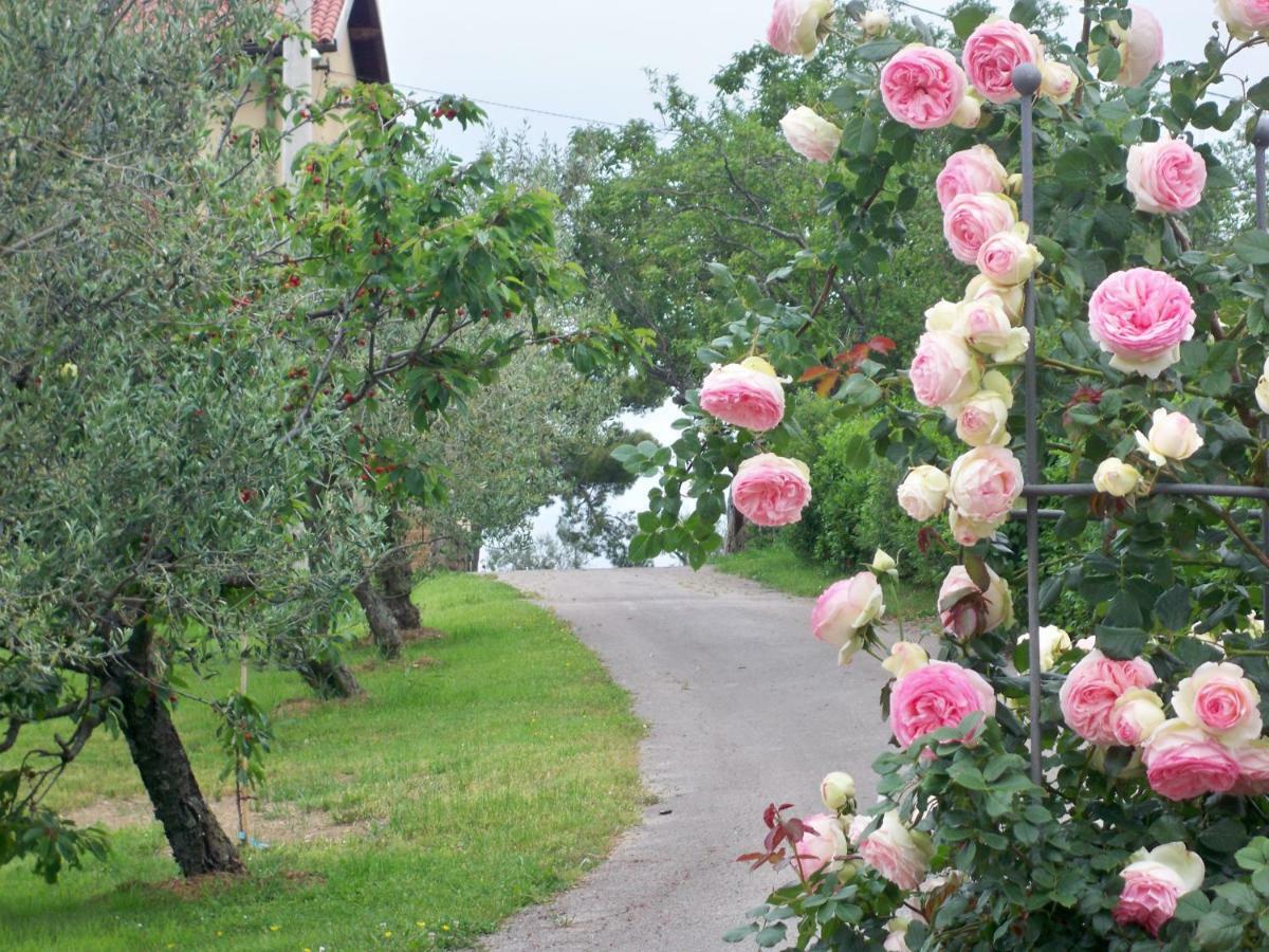 Holiday House Ida Marezige Exterior photo